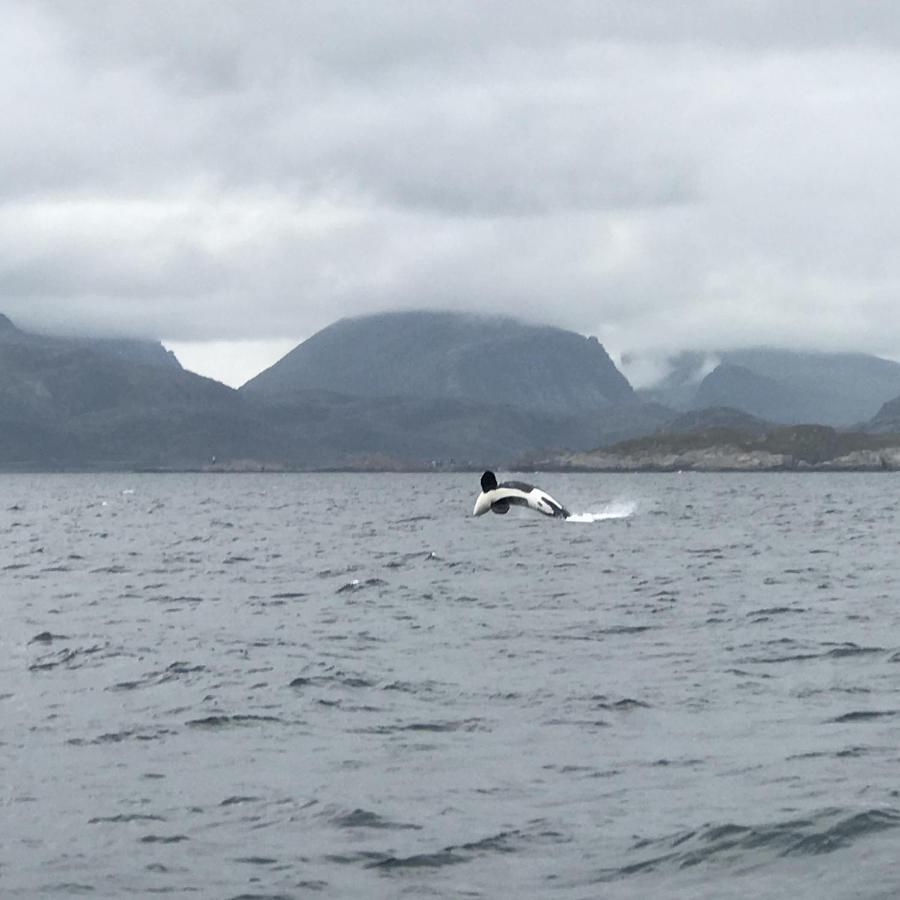 Fishermans Rorbu 2 - Lofoten Рамберг Екстериор снимка